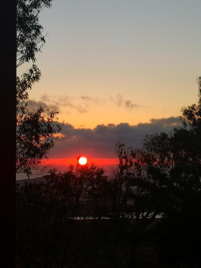 Aguatona Flor De Loto Romantic Woodhouse Casita Camping מראה חיצוני תמונה